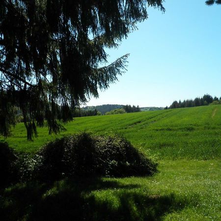 Blick In Die Suedeifel Biersdorf am See ภายนอก รูปภาพ