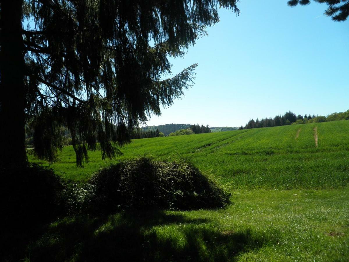 Blick In Die Suedeifel Biersdorf am See ภายนอก รูปภาพ