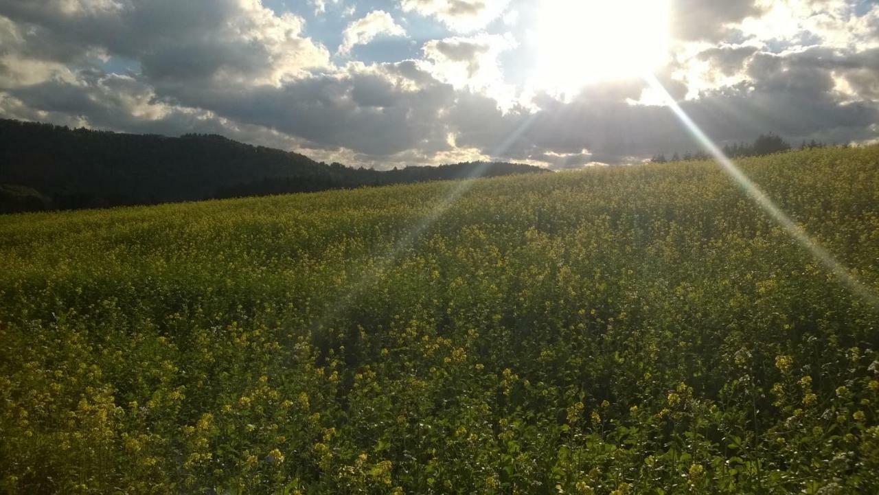 Blick In Die Suedeifel Biersdorf am See ภายนอก รูปภาพ